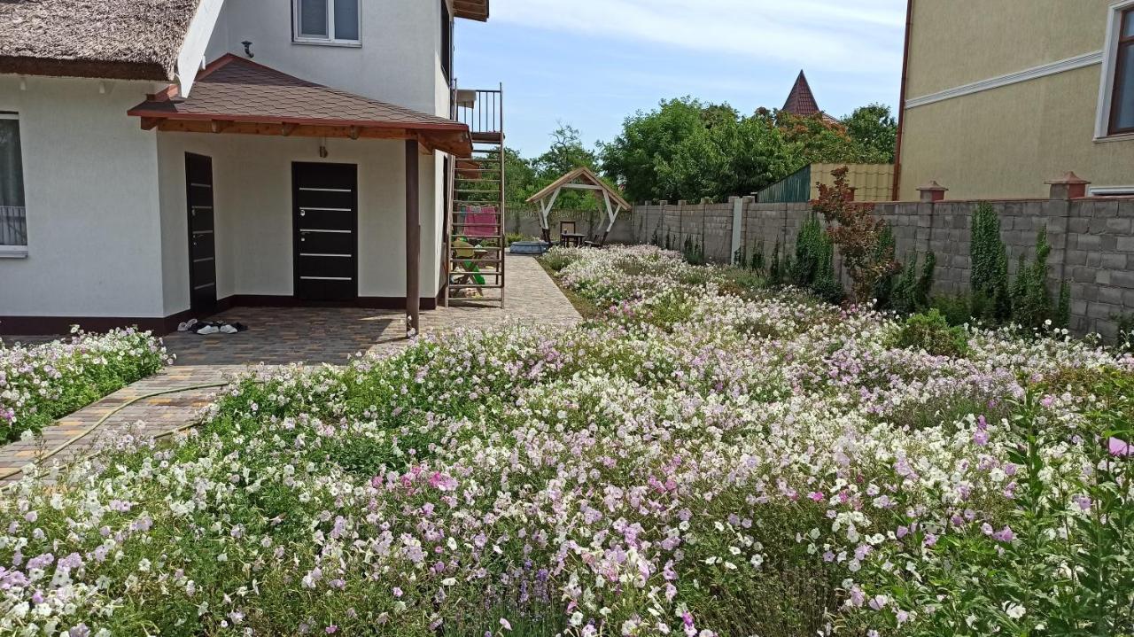 Eco House Hotell Tjornomorsk Exteriör bild